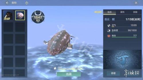 妄想山海岳云鲲最新爆料,岳云鲲最新爆料揭秘神秘世界