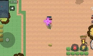 吃鸡宠物爆料大全最新下载,最新下载版深度解析